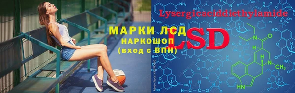 дмт Абаза