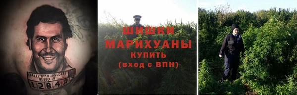 дмт Абаза