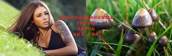 мяу мяу кристалл Алексин