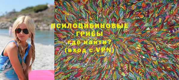 ПСИЛОЦИБИНОВЫЕ ГРИБЫ Алексеевка